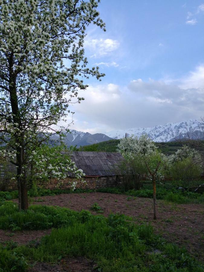 Tatev Guest House Exterior photo