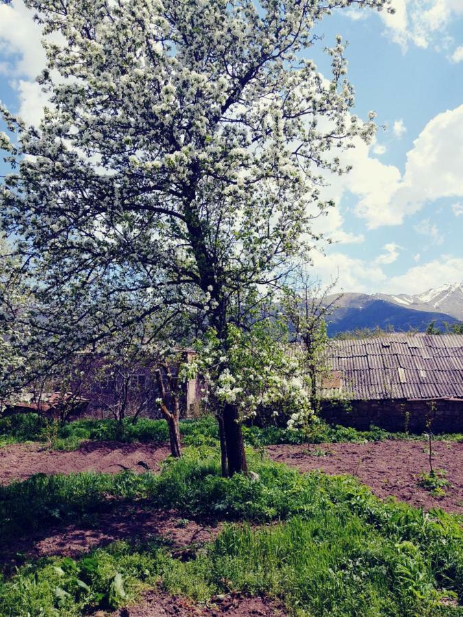 Tatev Guest House Exterior photo